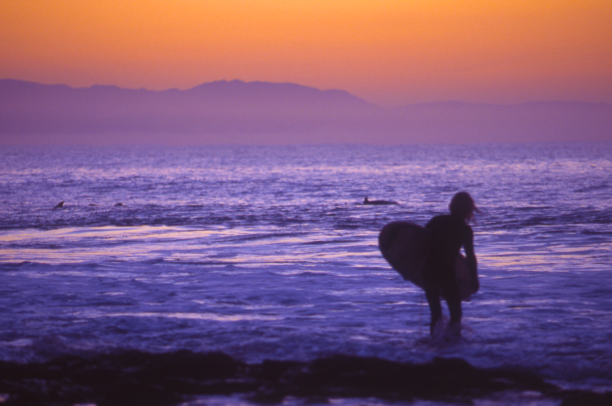 Surfer Girl watching Dolphins in the bay at sunset
